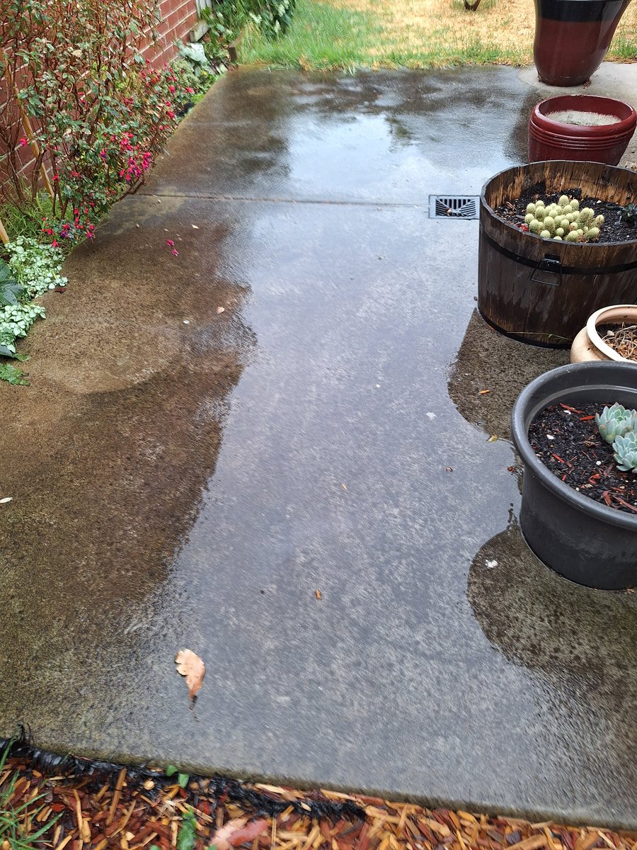 Sue C 🐯 tweet media