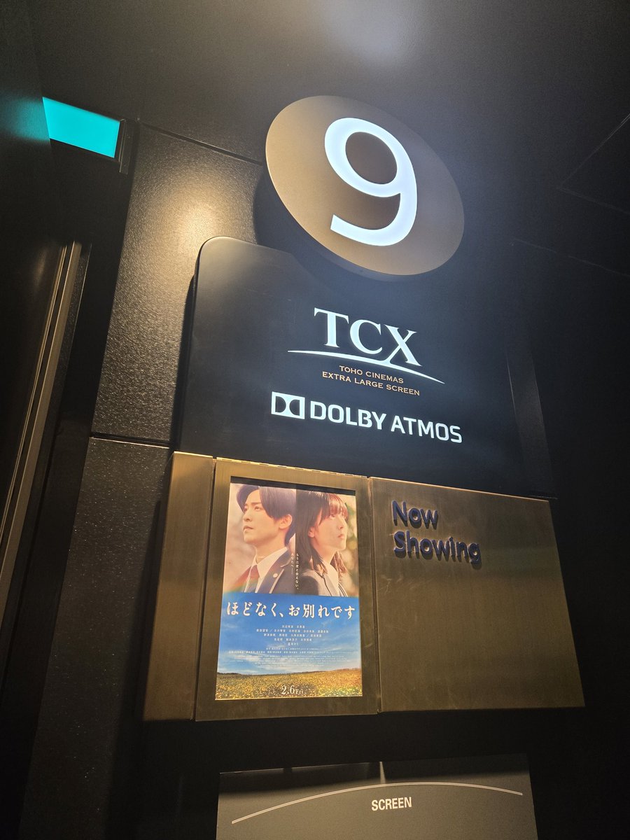 みーしゃん (@mskitty_3isk) / Posts / X