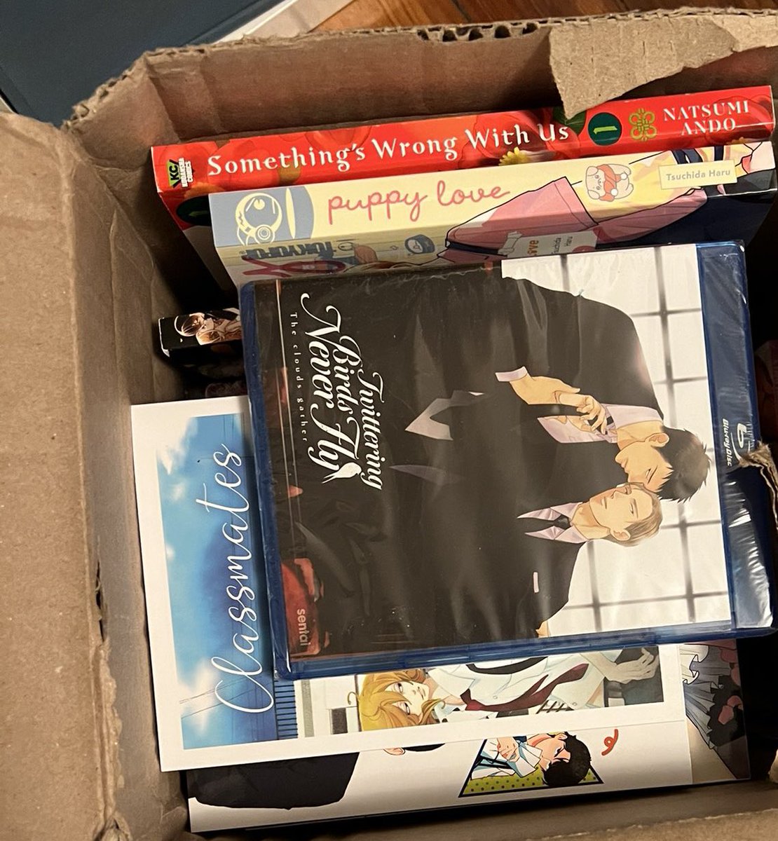 courtbanashi's tweet photo. Memories of when someone stole my box of yaoi and then upon seeing it was yaoi hid it in the bushes across the street https://t.co/HWv2E0kF3N