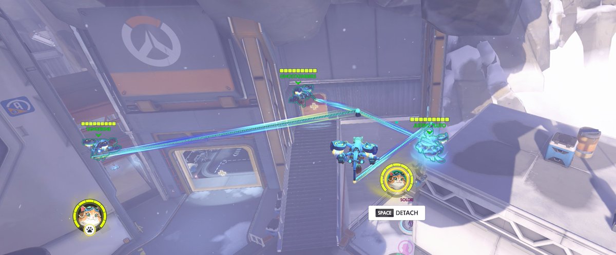 Tex 🍄🍉 tweet media