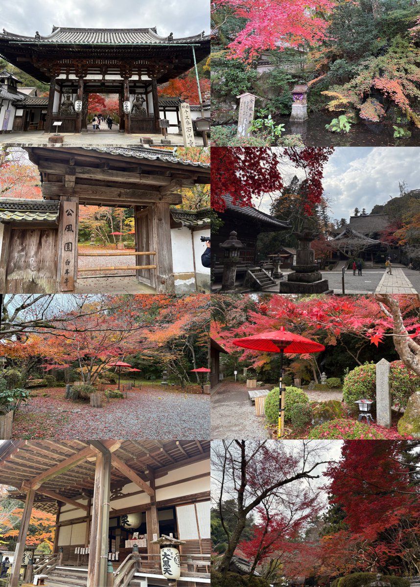 💐滋賀県⛩️石山寺🍁⑤

💐石山寺は源氏物語の始まりの地とされ『須磨』の巻に登場する「今宵は十五夜なりけり」の一文は瀬田川の川面に映った満月を見て思いついたとする説が有名💐

四季折々の花が見られる花の寺としても有名です💐

滋賀県の他の神社仏閣も時間を作ってまわりたいですね💐