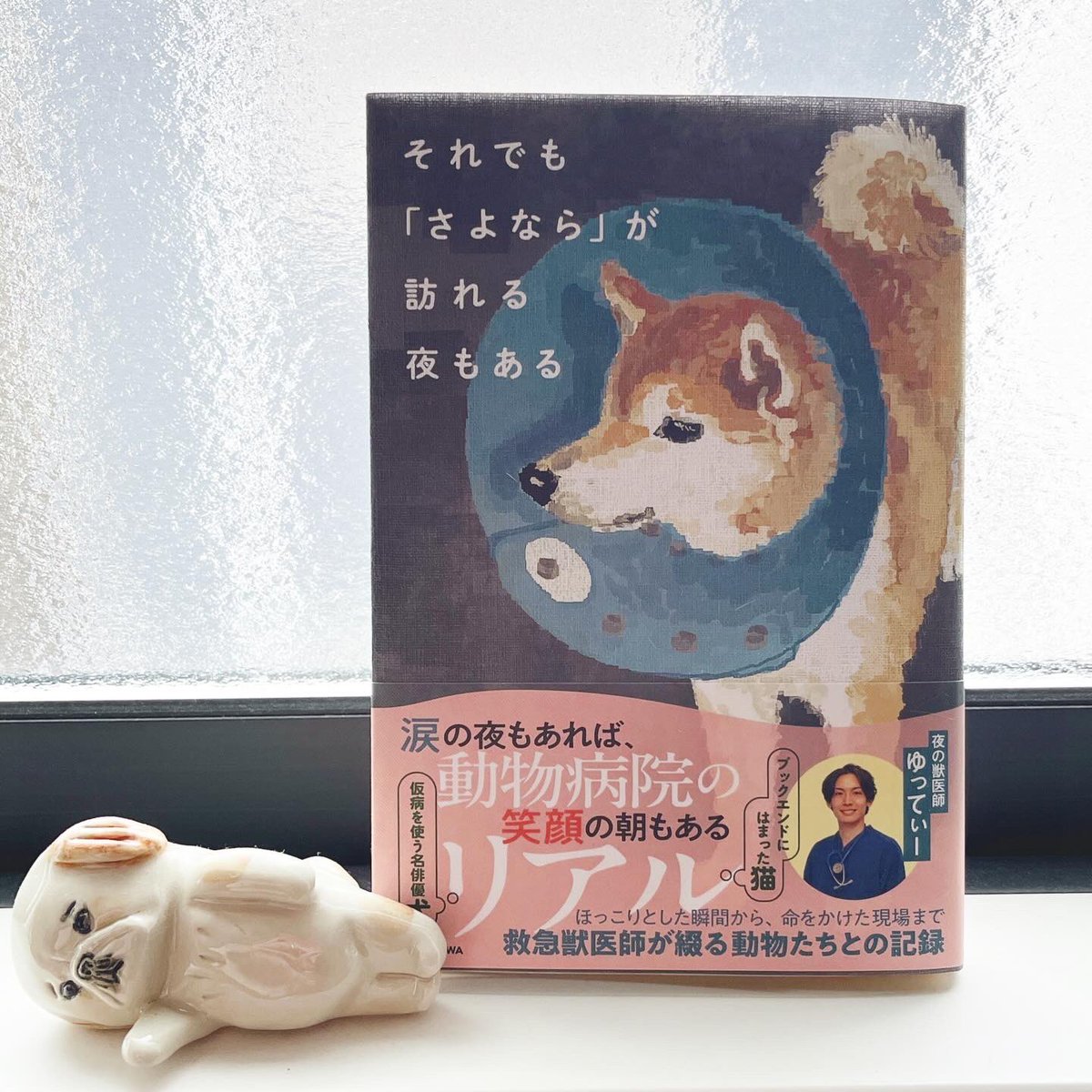 cheeko.chemon.h tweet media