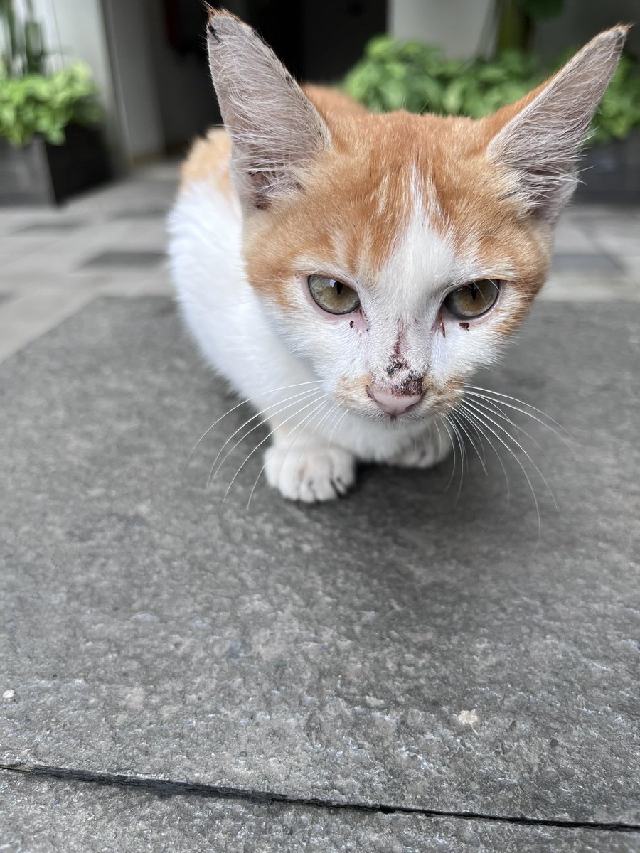 28Sep2004's tweet image. 