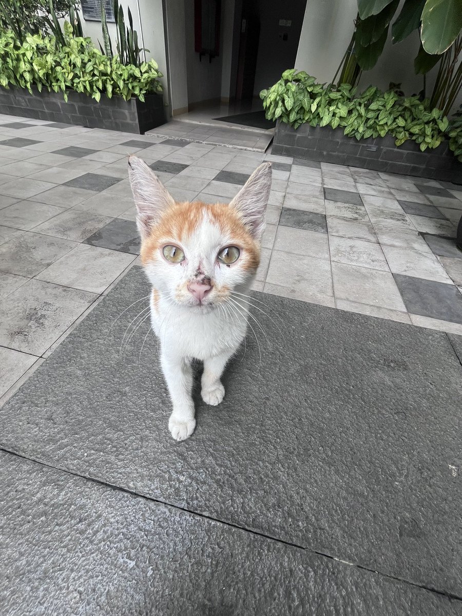 28Sep2004's tweet image. 