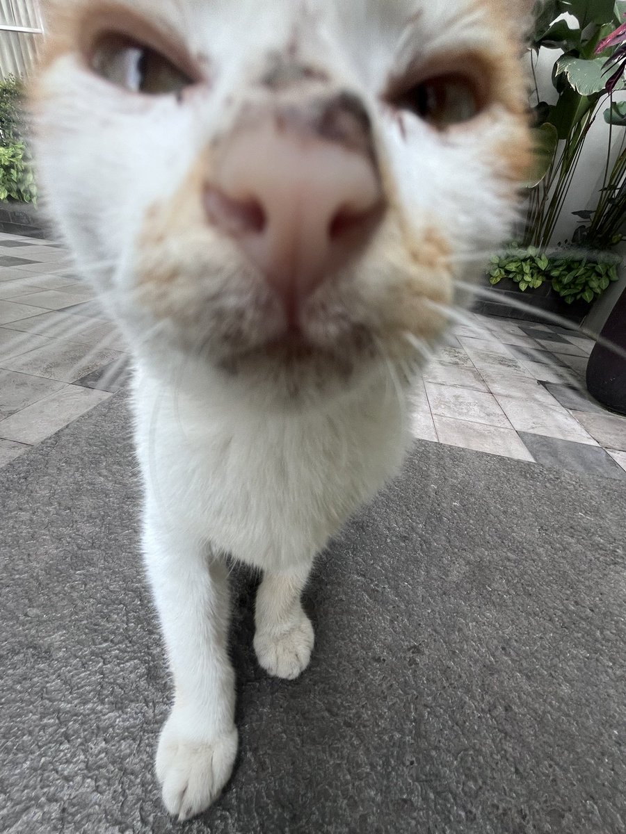 28Sep2004's tweet image. 