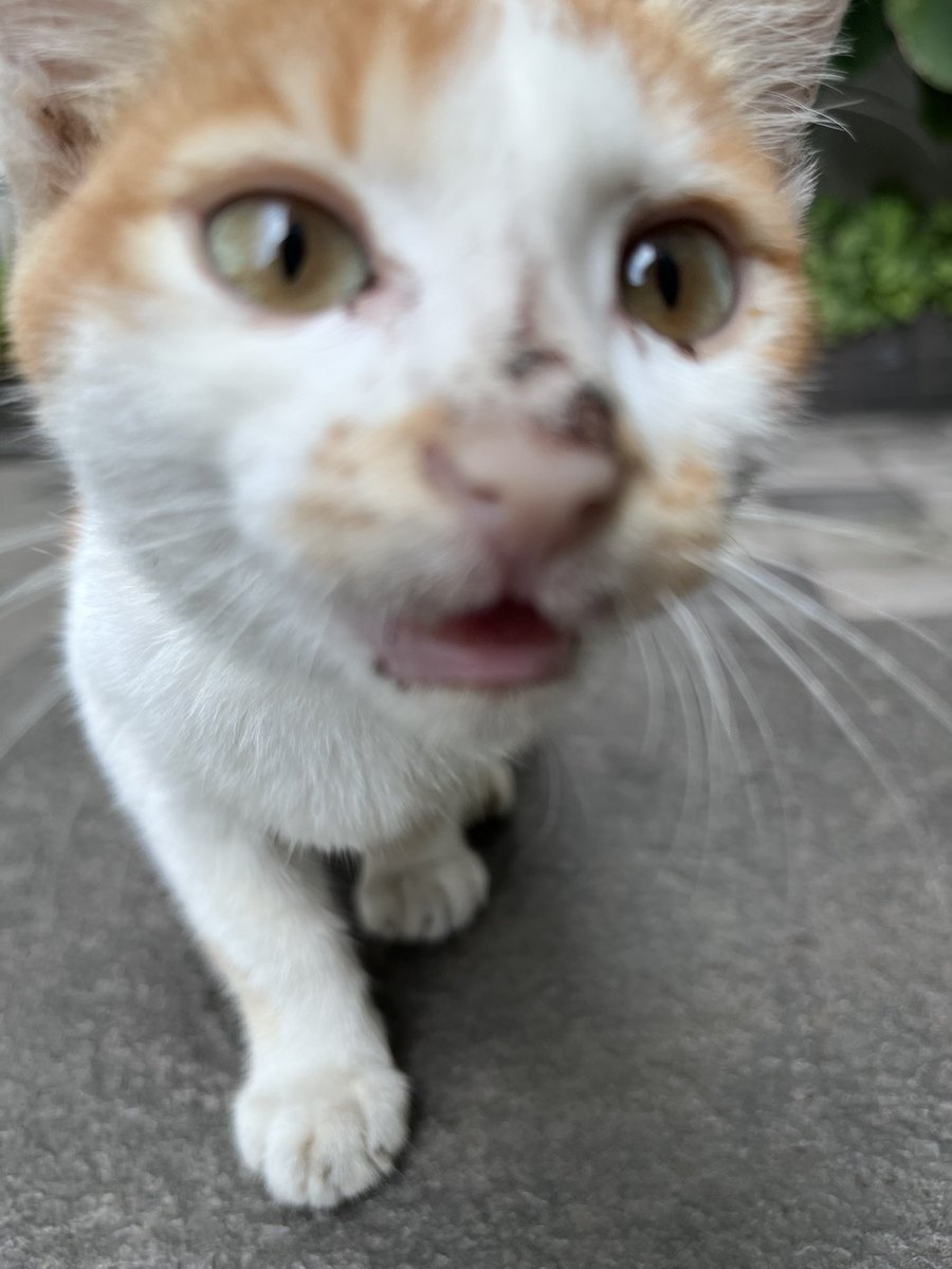 28Sep2004's tweet image. 