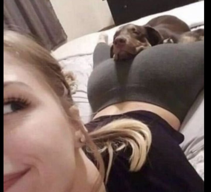 Prettykallyy's tweet photo. New zoo models and their dogs🐶 premium 
Ask for the menu below
https://t.co/Fl2LsBUFsV

 #antizoophileantizoo #k9girl
#zoopride
#zoophilepride #zoopositivity
#Bestiality #hypnotist #zoophillia #zoosarevalid #beastiality #dogknot #zooprideisvalid #zoophile
#antizoo https://t.co/MwWw78UNoz