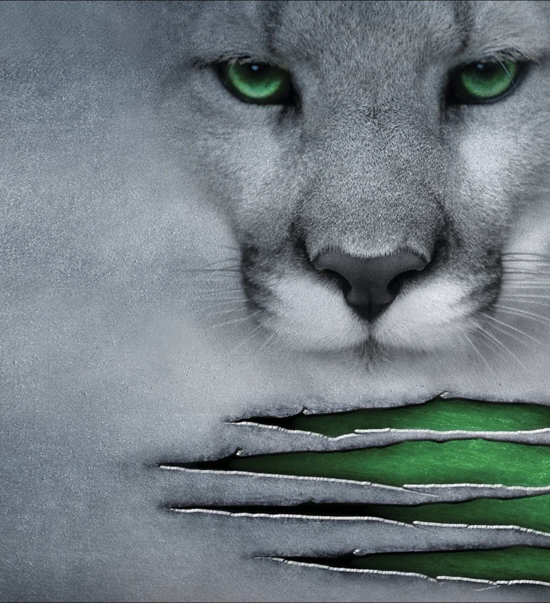 Men’s Basketball- Kougars go on the road and win 93-75 over Black Hawk College to win the outright Arrowhead Conference title tonight!Congratulations to the team and coaching staff in accomplishing their goal!! #KishFam #KishProud 🏀