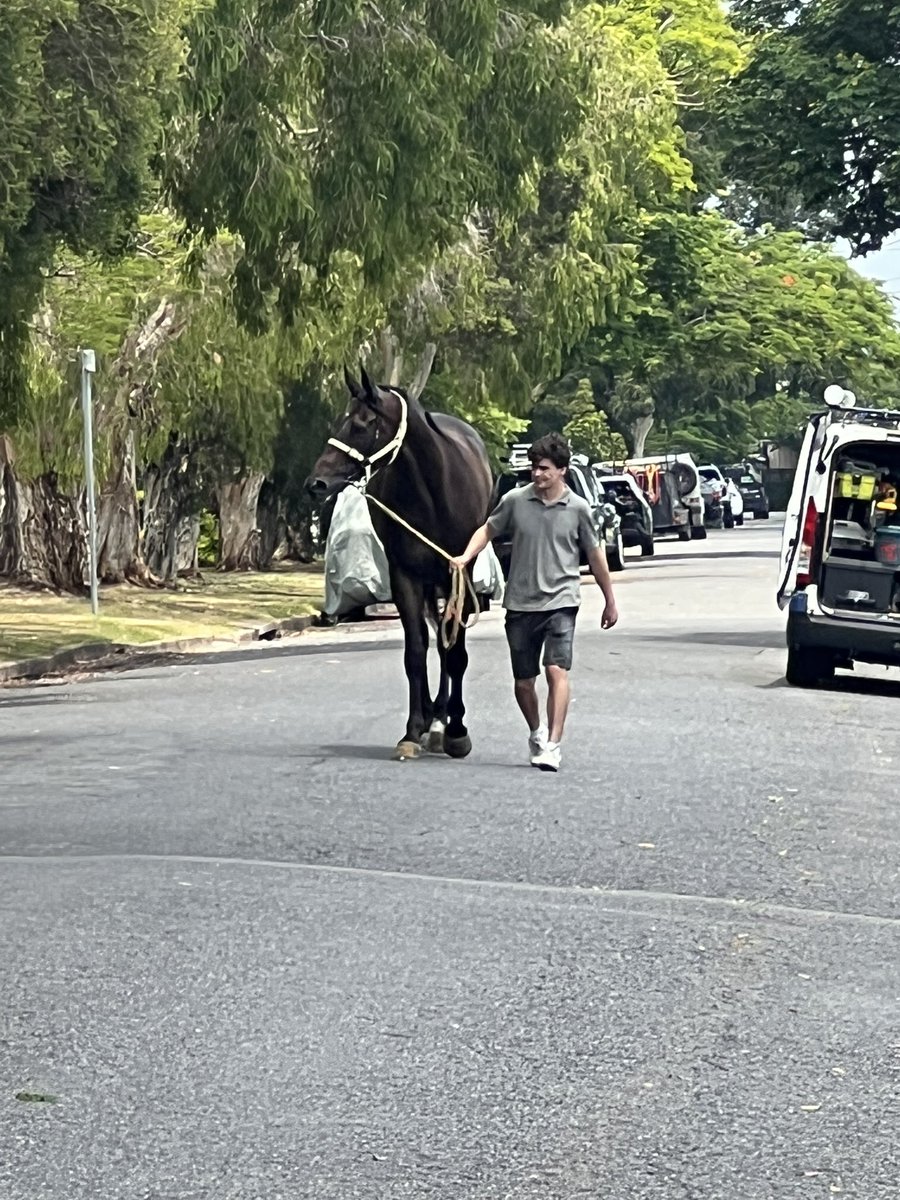 Hulbert Racing tweet media