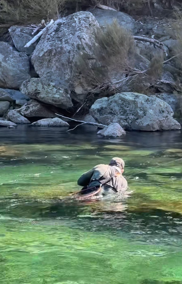 terraincast's tweet photo. End of the day. One more drift. Waist-deep in emerald water, locked in, rod bent and heart racing. Cold legs, steady hands,  that “just one more cast” feeling never misses.

Credit: @mannyfishadventures

#FlyFishing #WadeFishing #CatchAndRelease #RiverLife #OutdoorVibes https://t.co/AZ3vuGNtSl