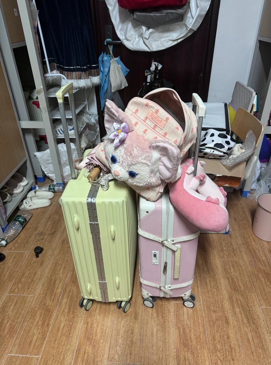 傻丫头 tweet media