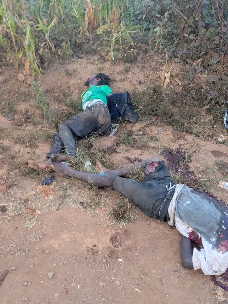 AGovC USA 🇺🇸 tweet media