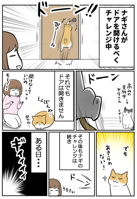 (2/3) 