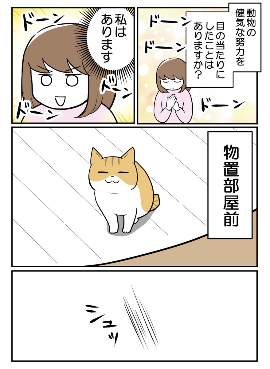 なんとしてでも開けたいドア(1/3) 