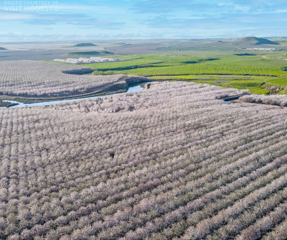 DoubleTree by Hilton Modesto tweet media