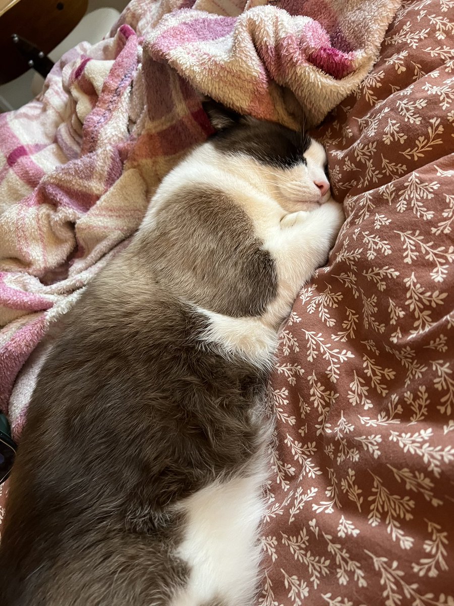 Adam Epp tweet media