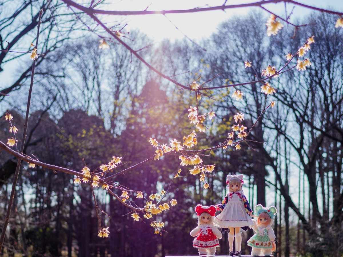 引率の先生✨
#よそのこかわいい