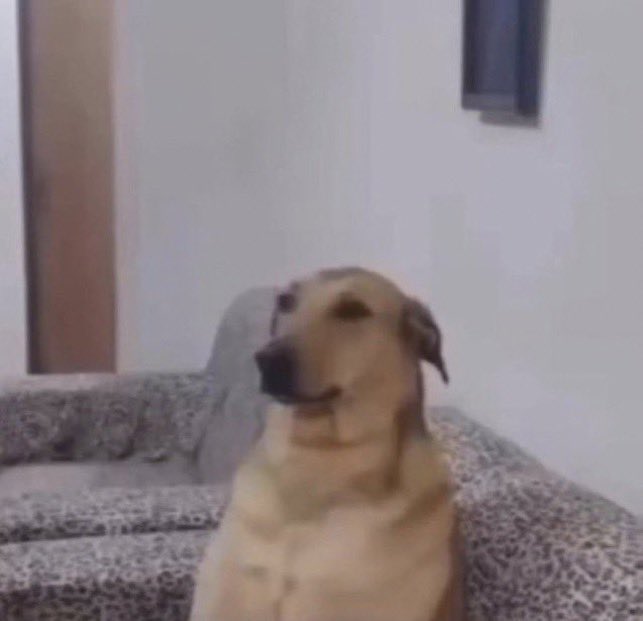 off: por já ter sido eliminada de reality me identifiquei com o que o Tadeu disse sobre “saber o que é ser eliminado” e me sensibilizei com a Sarah pois imaginei a sensação horrível que ela devia tá sentindo naquela hr