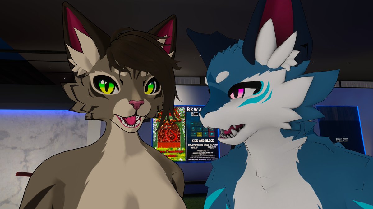 Lt.Shadow tweet media