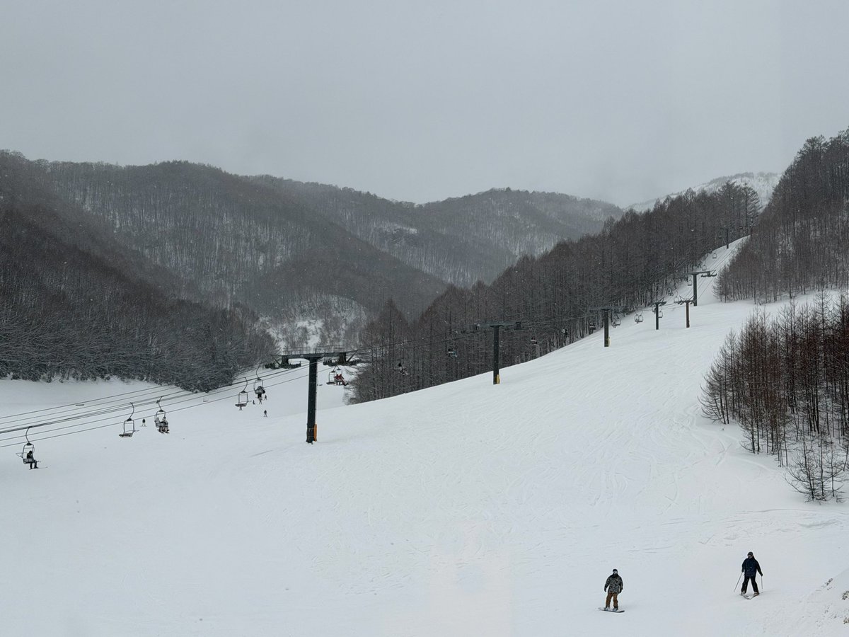 オグナほたかなう。
リフト結構混んでる🚠