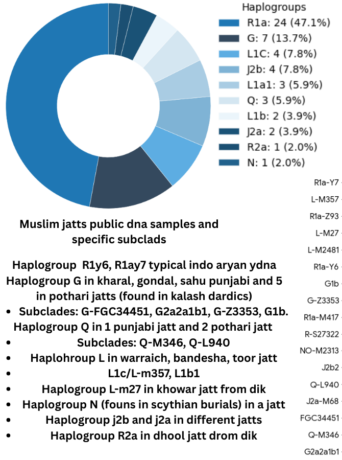 verifiable public samples of muslim jatts show R1a being main ydna with L , G, J2 being in decent proportions. I think more sampling will reveal muslim jatt clan based ydna like jatt sikhs dhillon jatts 23 samples around 60% are j2 , randhawa jatts are Around 50% Q1b and so on