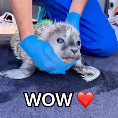 WOW ❤️