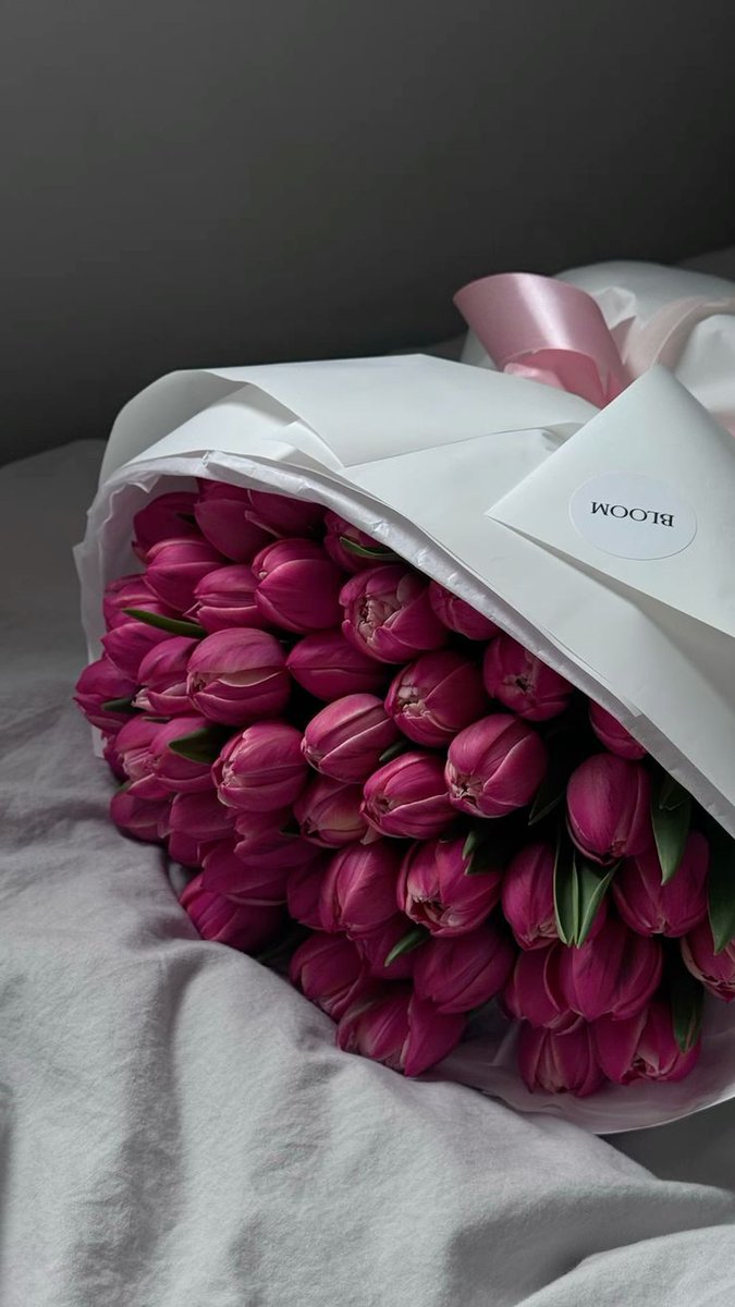 Tulips Library (@tulipslibrary) on Twitter photo 