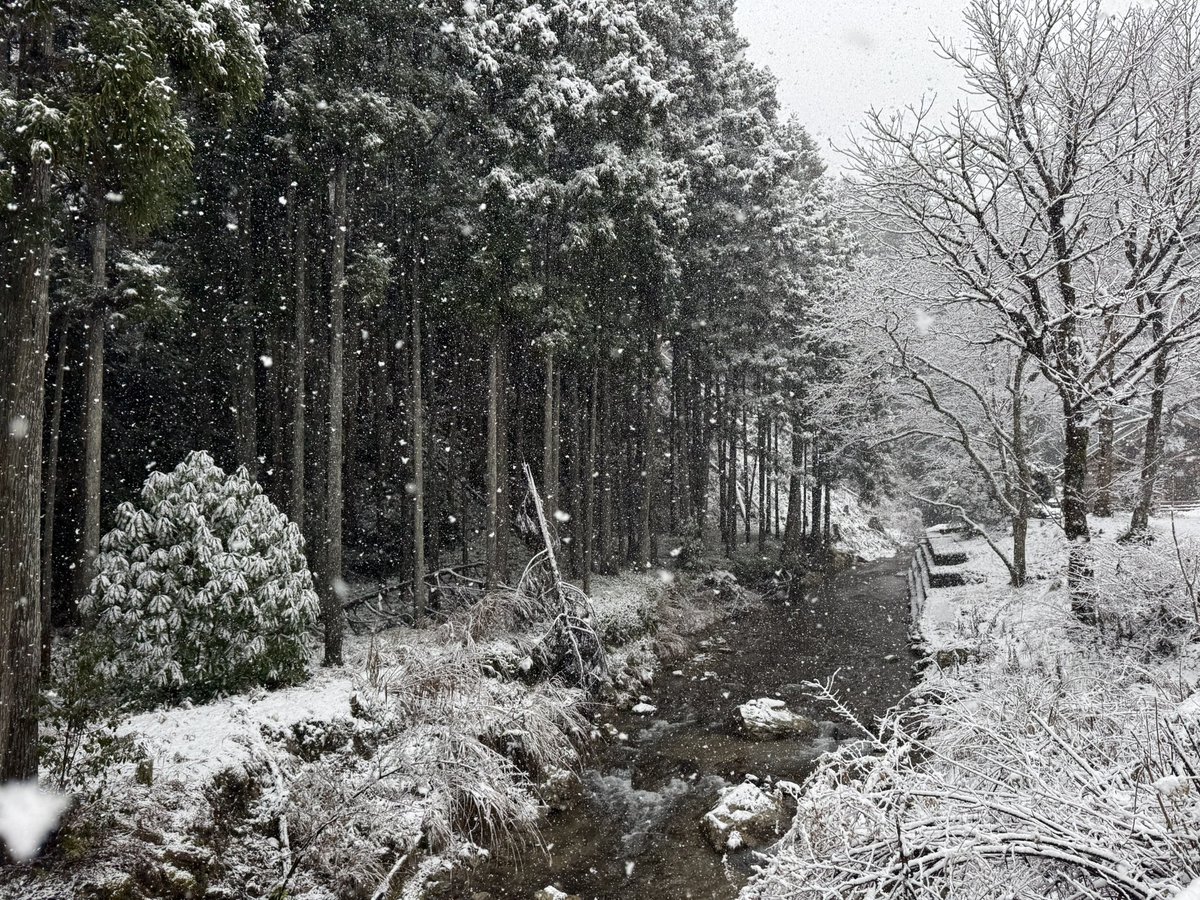 uu10ath's tweet photo. 一応京都市…🥶 https://t.co/g9CWaWrva7