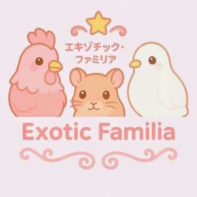 exoticfamilia's tweet photo. #WAF名古屋
@WAF_staff 2月１５日WAF名古屋の配置出ました！
エキゾチック・ファミリアは出口すぐ横の63番ブースです！！😁✨

当日は是非お立ち寄りくださいなせ 皆様のお越しを心からお待ちしております！🙂‍↕️✨ https://t.co/UTUDDoHB1s