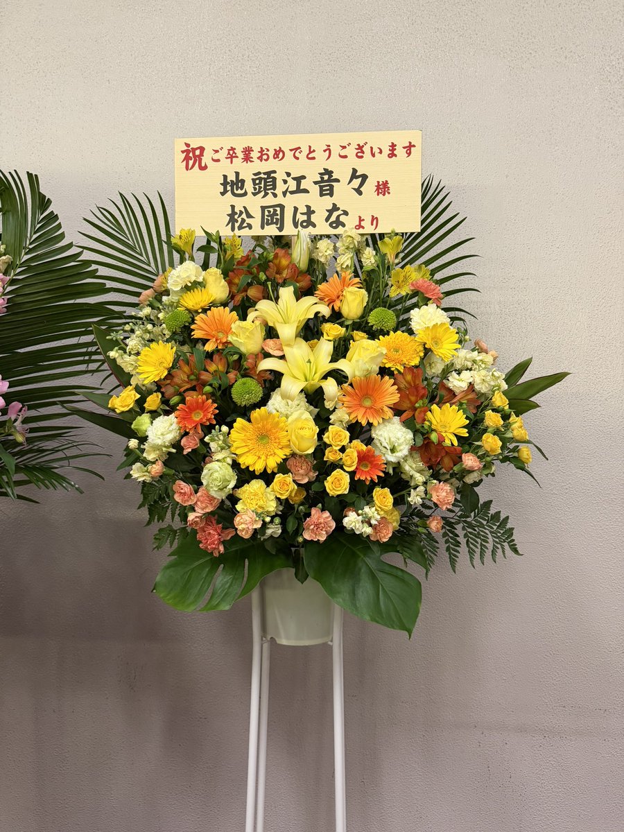 hit_shoma's tweet photo. はなちゃんの花が！ https://t.co/bW0n3i5d5R