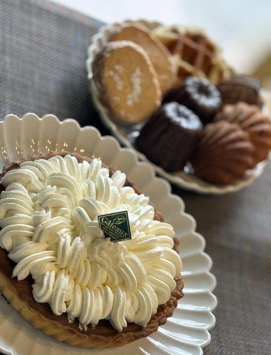 shino🐘22w妊糖 tweet media