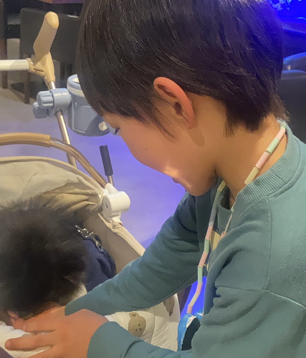 wakakoviolin's tweet photo. るりちゃんの愛犬🐕✨華路（KARO）ちゃん♡
息子もすっかり仲良し😆
@yakushiruri https://t.co/KGDvX0j4o0