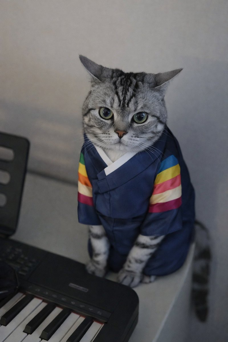 이게 뭐얔ㅋㅋㅋㅋㅋㅋㅋㅋ
아 귀여워