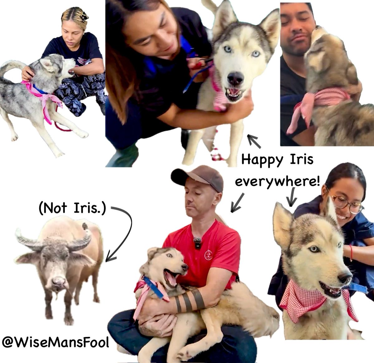 Nick Yada Yada tweet media