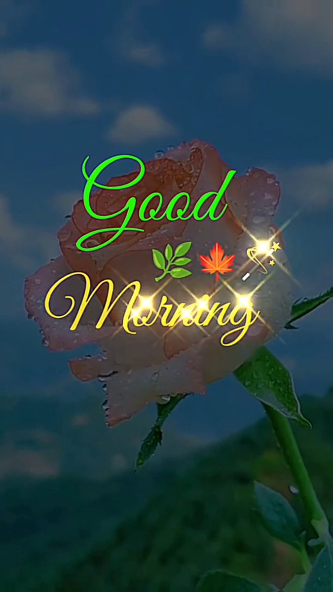 kaniz1213's tweet photo. good morning https://t.co/Z9VeAbF2wj