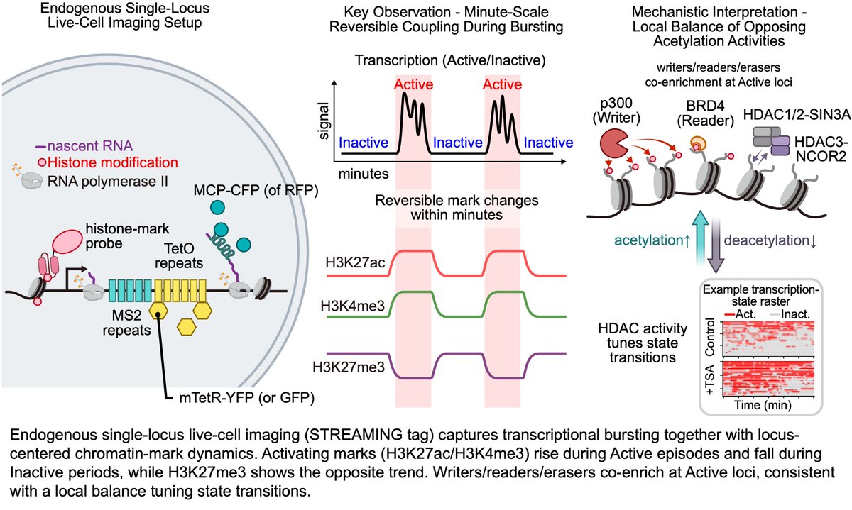 Hiroshi Ochiai tweet media