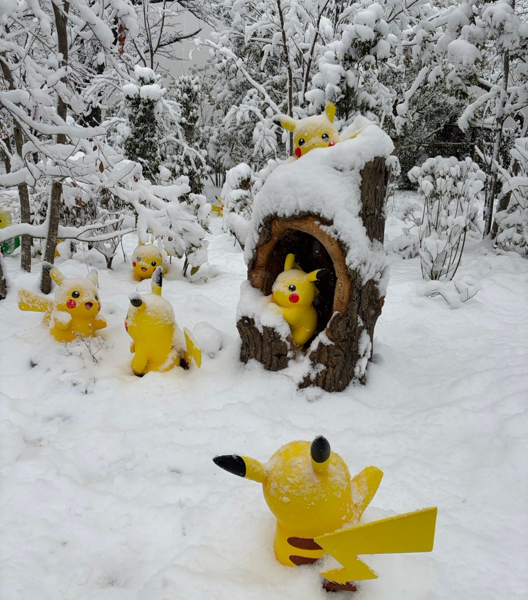 Dexerto's tweet image. It snowed on PokéPark Kanto's opening weekend, with fans posting images of the Pokémon in the winter scenery

via 0plmko0