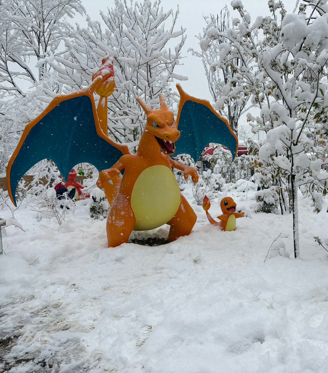 Dexerto's tweet image. It snowed on PokéPark Kanto's opening weekend, with fans posting images of the Pokémon in the winter scenery

via 0plmko0
