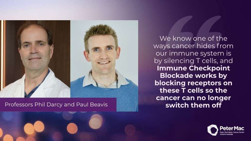 Peter Mac Cancer Centre tweet media