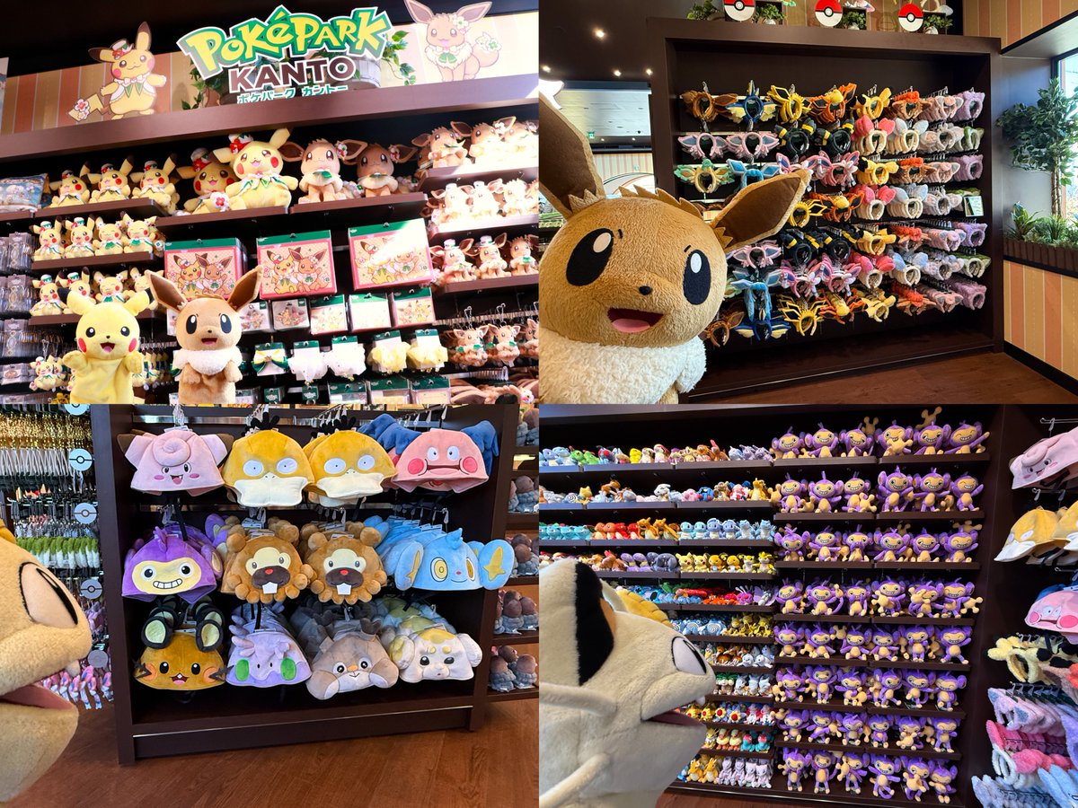 ポケカ速報＠予約抽選・最新情報まとめ tweet media