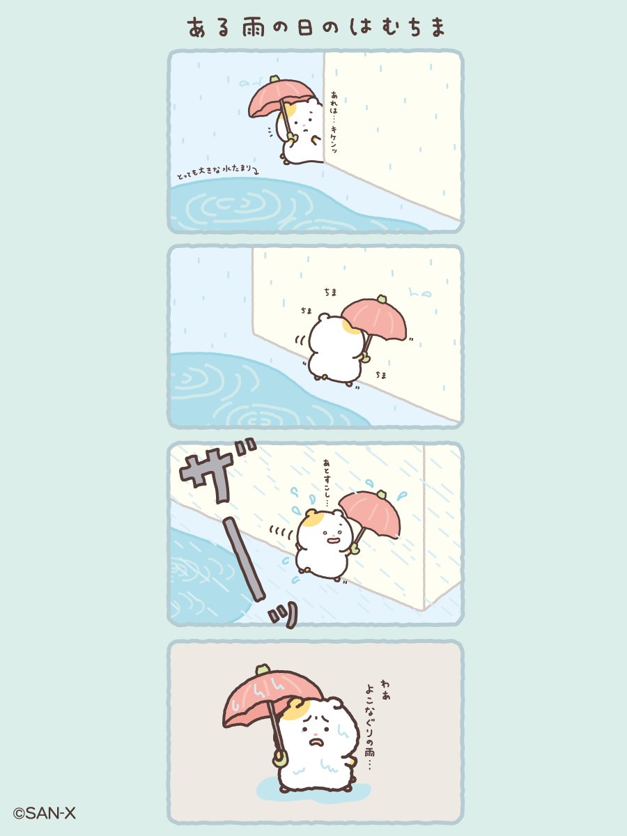 はむちまびしょびしょ〜☂️🐹💦