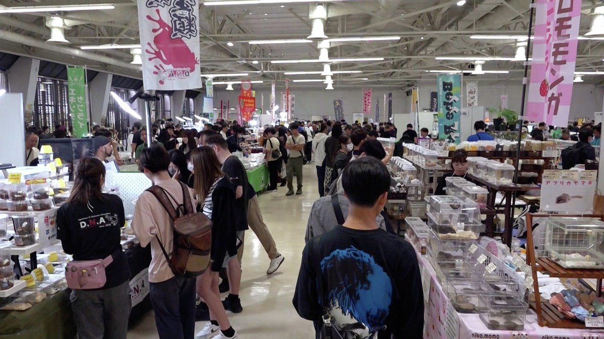 メ〜テレ（名古屋テレビ/メーテレ） tweet media