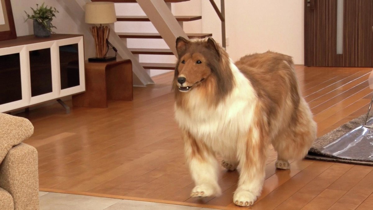 メ〜テレ（名古屋テレビ/メーテレ） tweet media