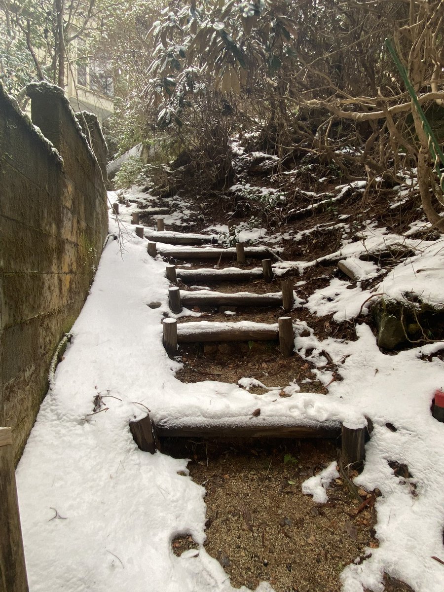 vasikarada's tweet photo. 高野山内に鎮座される豊川稲荷神社へ参詣させていただきました
こちらはGoogle マップでは神社が鎮座されている事が確認できますが
位置が民家になっていてどちらにあるのか迷いました
地元の方に声掛けさせていただき「このガレージの間を抜けて山を登った頂上にある」と教えていただきました。 https://t.co/HHBmKt1c1K