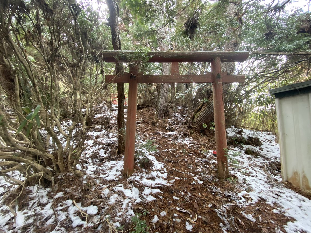 vasikarada's tweet photo. 高野山内に鎮座される豊川稲荷神社へ参詣させていただきました
こちらはGoogle マップでは神社が鎮座されている事が確認できますが
位置が民家になっていてどちらにあるのか迷いました
地元の方に声掛けさせていただき「このガレージの間を抜けて山を登った頂上にある」と教えていただきました。 https://t.co/HHBmKt1c1K