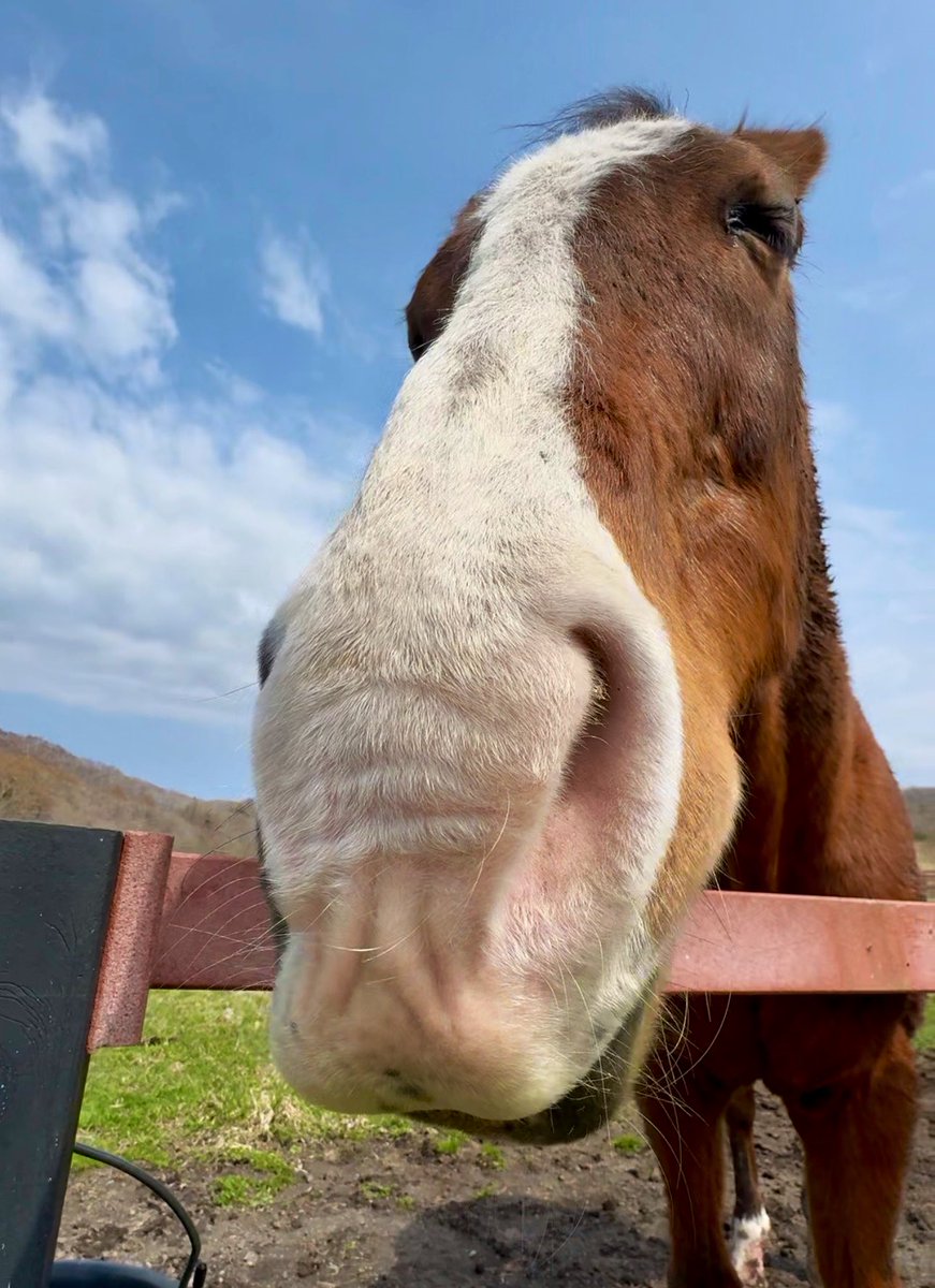 アライン tweet media