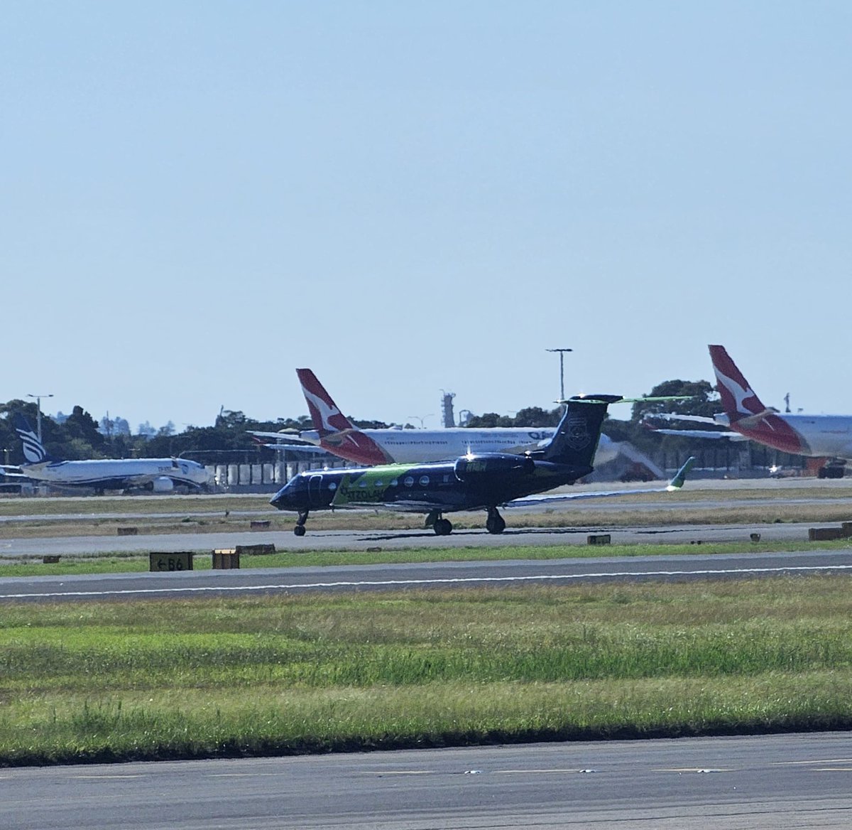 DansDeals tweet media