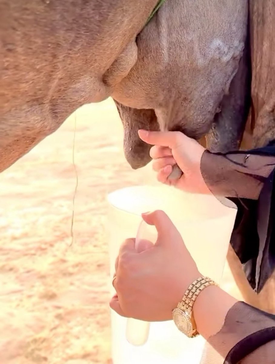 اللهم اجعل هذا اليوم خيرًا 
لنا في كل تفاصيله 🤍
#صباح_السعادة