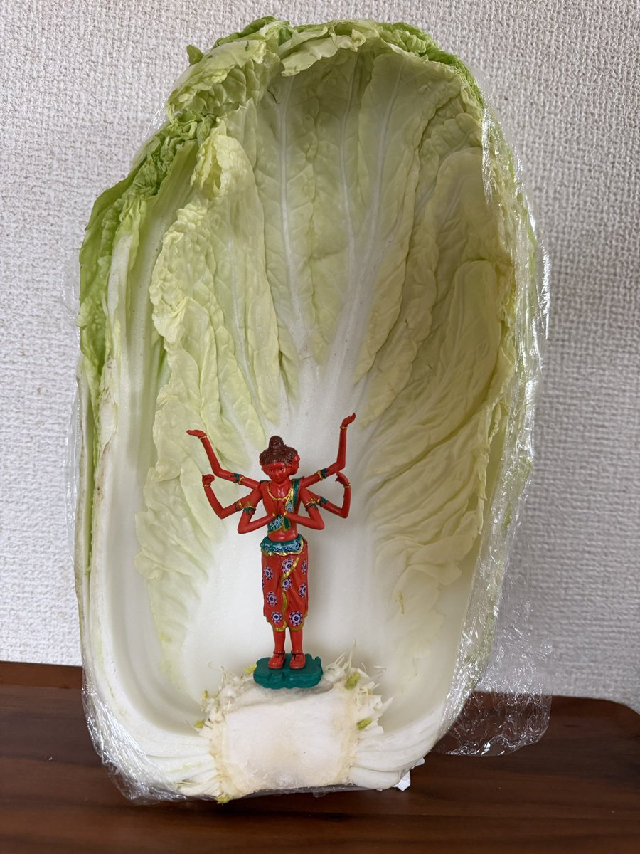 は な ٩(๑❛ᴗ❛๑)۶ (@ako19651) / Posts / X