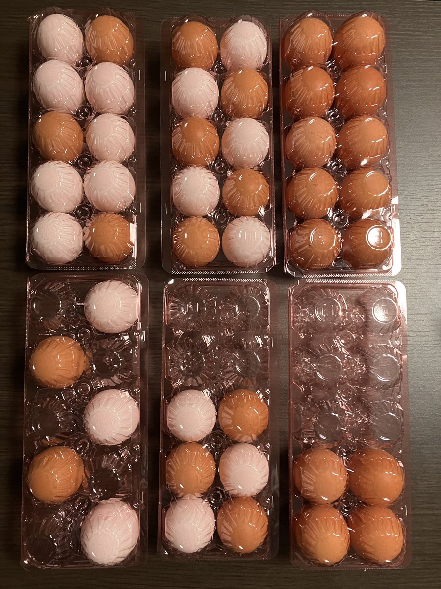 卵45個買った 🥚ﾍ(´ω`ﾍ)ﾍ(´ω`ﾍ)